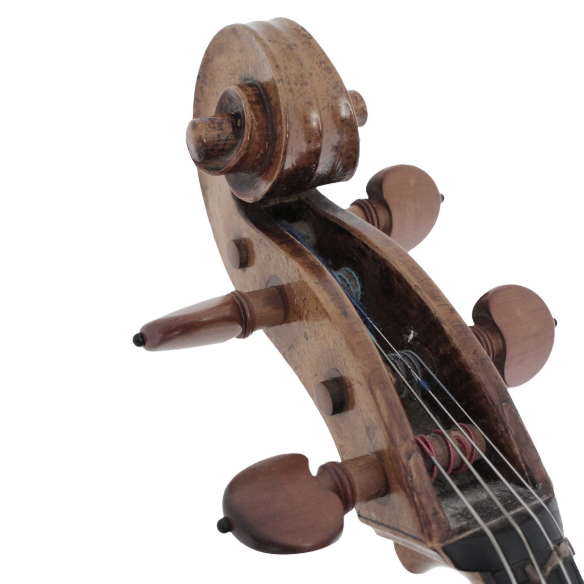 Schnecke-Ausschnitt-a_5780
